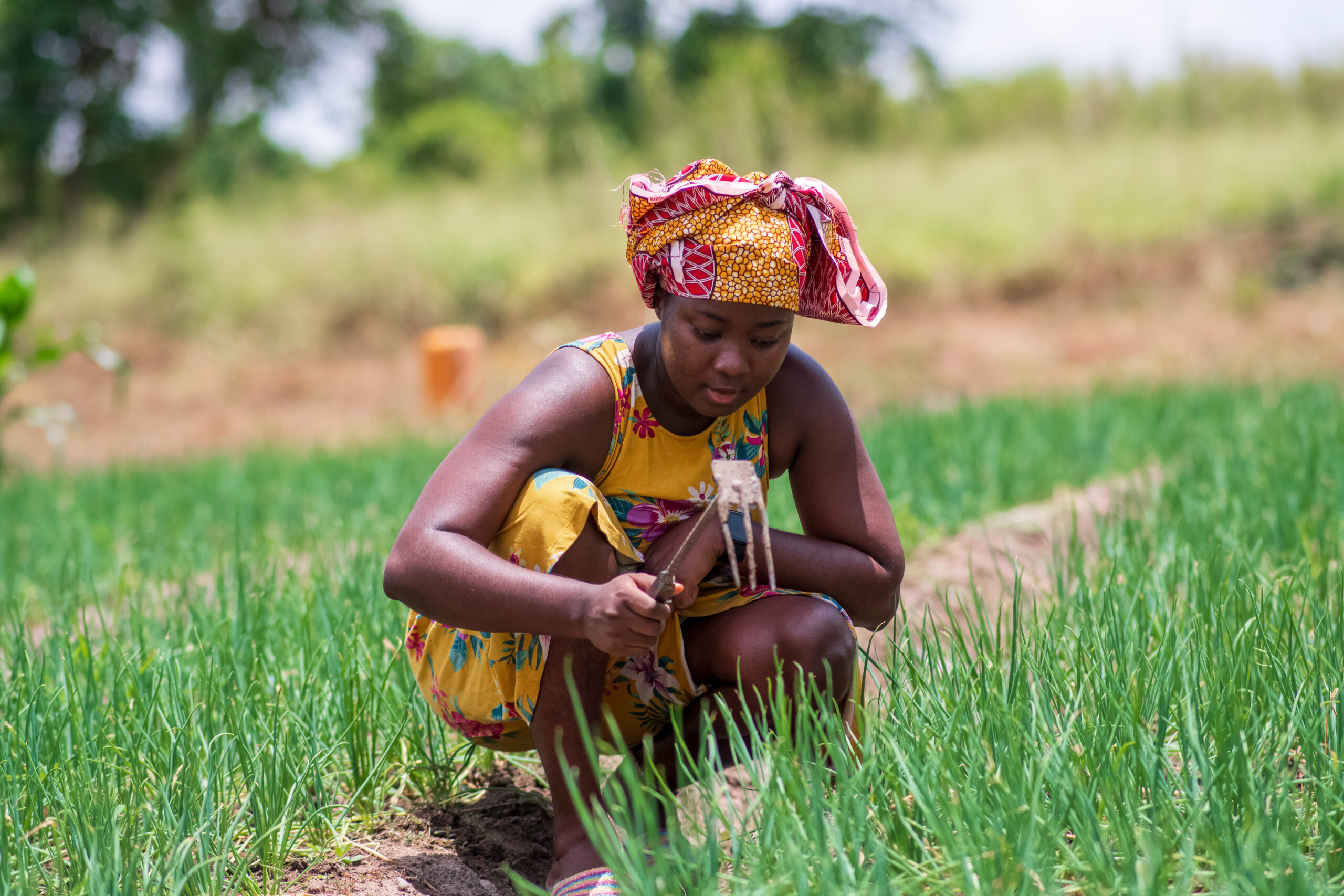 A young African woman in green park